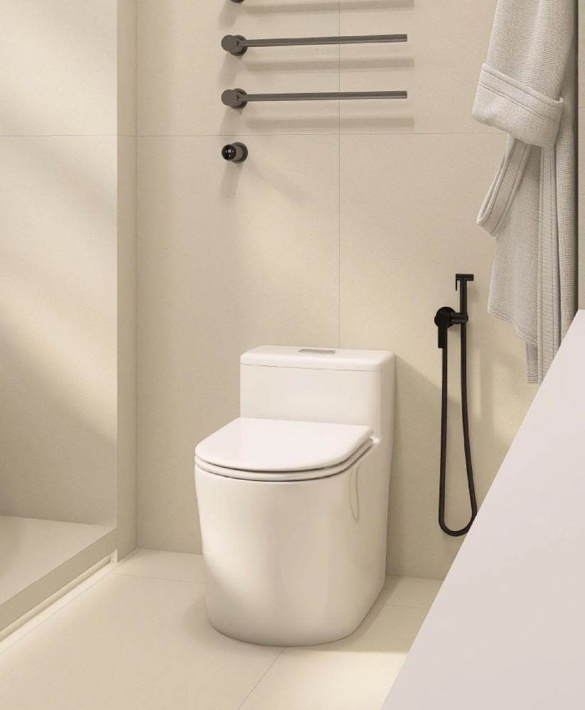 CERAMIC TOILET Series 11 - Royal Bathroom