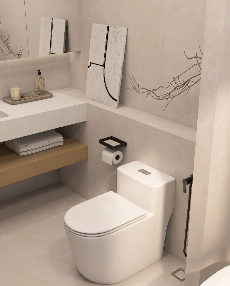 CERAMIC TOILET Series 10 - Royal Bathroom